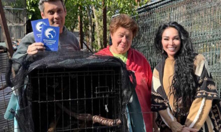 После пожара — к новой жизни: Аделина Панина помогает возродить зоопарк в Евпатории